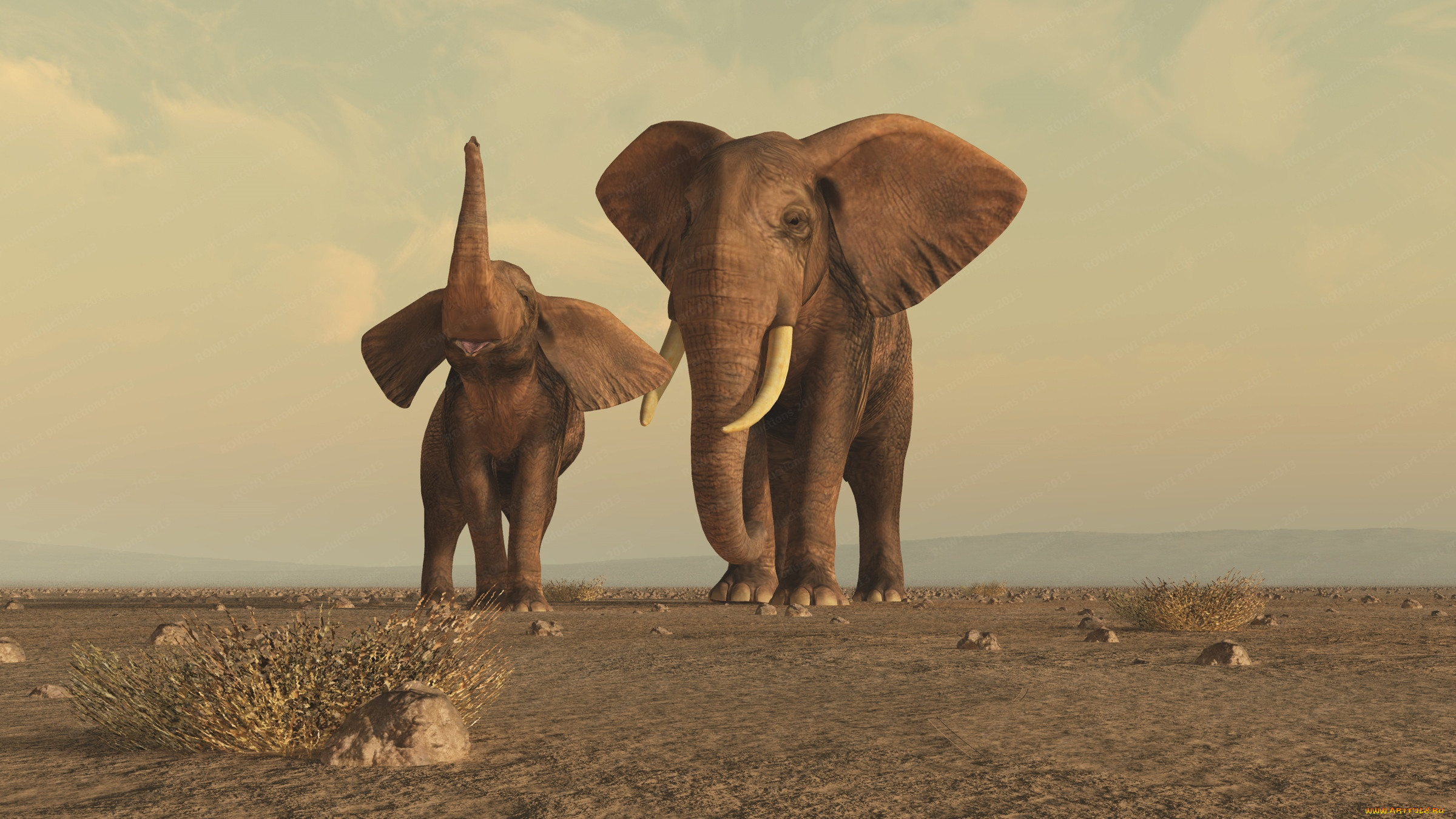3 , animals , , 